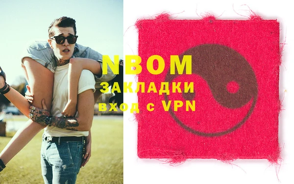 ПСИЛОЦИБИНОВЫЕ ГРИБЫ Арсеньев
