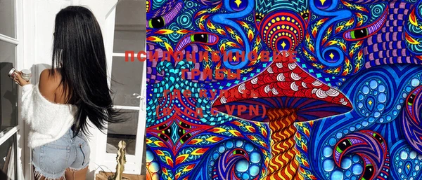 ПСИЛОЦИБИНОВЫЕ ГРИБЫ Арсеньев