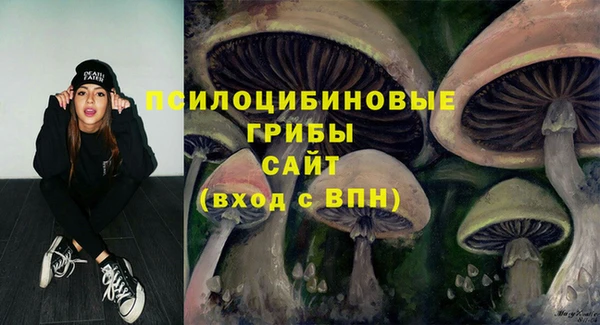 ПСИЛОЦИБИНОВЫЕ ГРИБЫ Арсеньев
