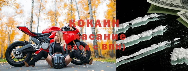 ПСИЛОЦИБИНОВЫЕ ГРИБЫ Арсеньев