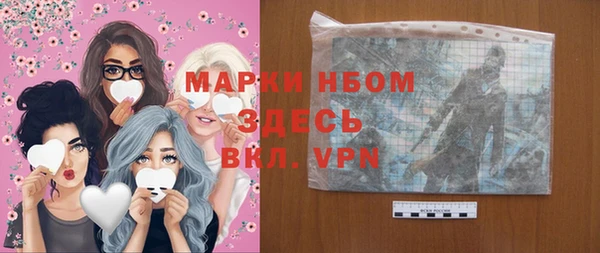 ПСИЛОЦИБИНОВЫЕ ГРИБЫ Арсеньев