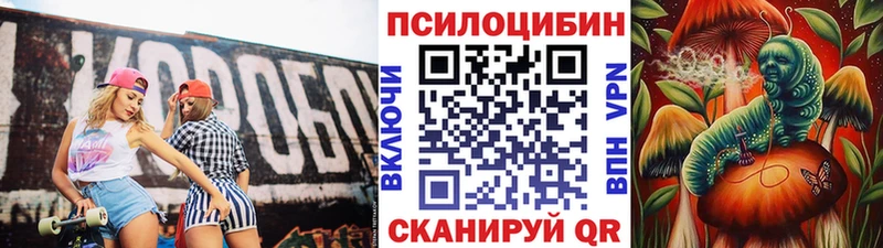 Галлюциногенные грибы Cubensis  Болхов 
